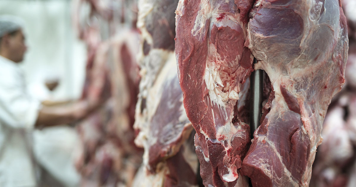 La validación de los POES en la industria cárnica