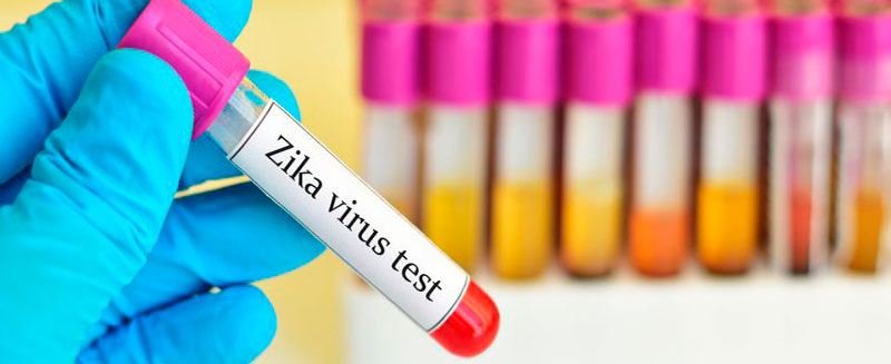 recomendaciones para evitar enfermedades como el zika01