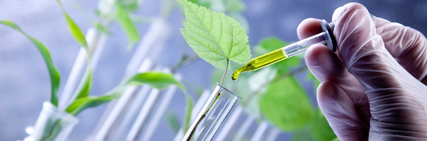 microbiologia ambiental