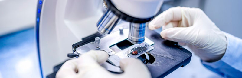 mircobiologia industrial 01