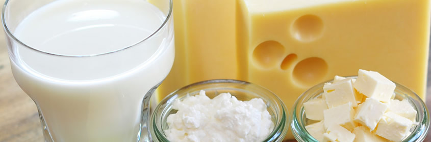 buenas practicas manufactura lacteos