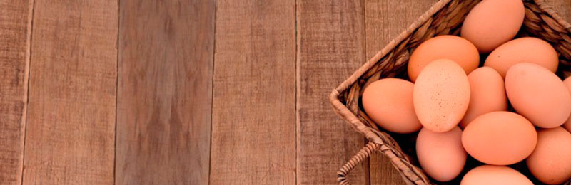 evite la salmonella en sus preparaciones 01