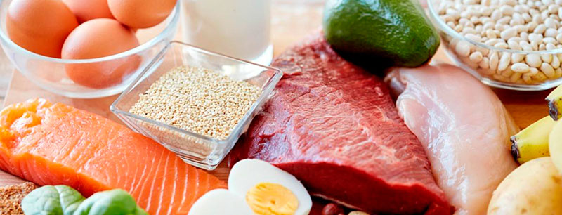 tipos de bacterias 02